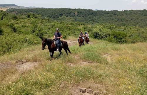 Casa Sofia - Foto 59