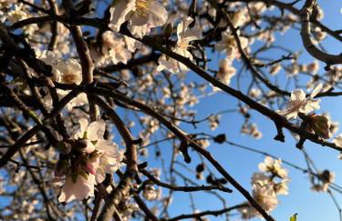 Piera's House - Photo 33