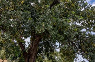 Popi s house - Photo 64