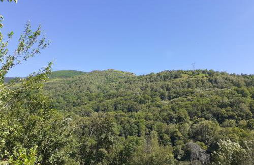 Gîte Pause du Berger - Foto 72