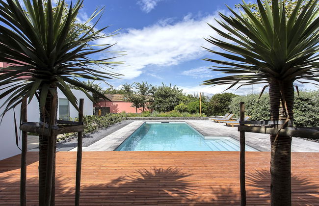 Quinta dos Peixes Falantes - Foto 56