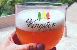 Kingston Ubatuba - Foto 29