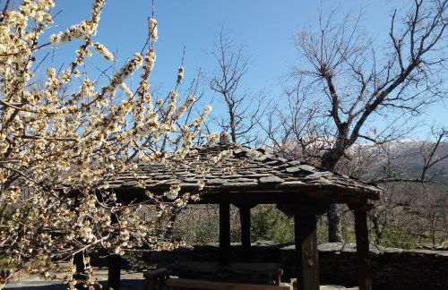 La Era de la Tía Donata - Foto 17