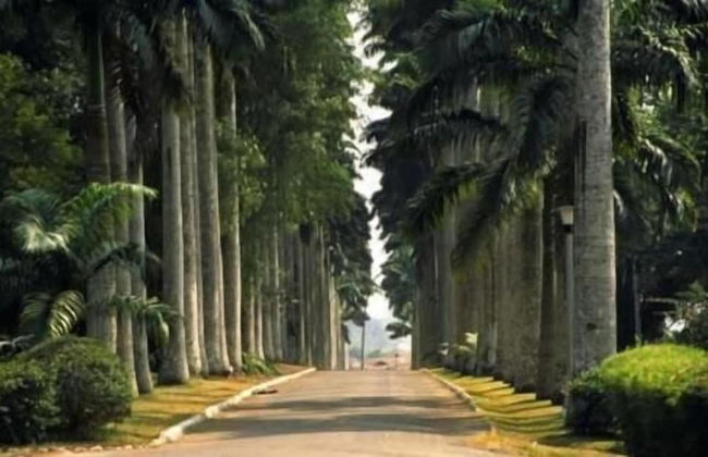 Devon Villas - Photo 22