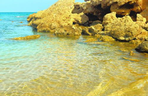 Bajo en Playa Romana Alcossebre - Foto 63