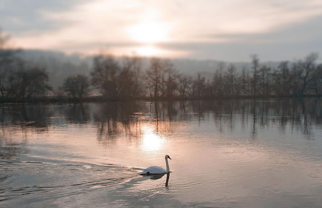 Charming 17th Century 2-bed Cottage in Medmenham - Foto 17