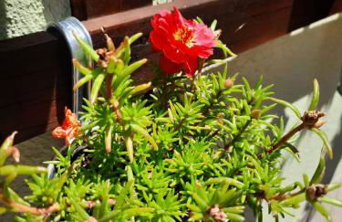 Appartamento Rosanna - Foto 47