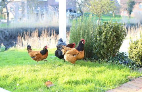 Ferienwohnung "Schönes Leben" direkt am Fluss - Foto 10