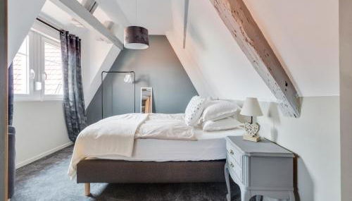 Apartment in Alsace near Haut-Koenigsbourg - Foto 4