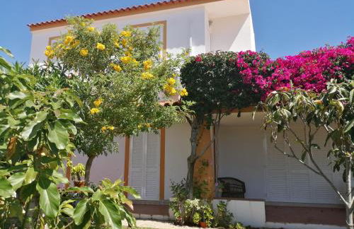 Oura Parque -Apartamentos Turisticos - Foto 54