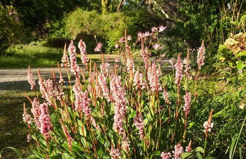 Brewhouse - Uk48743 - Foto 9