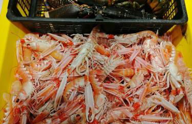 Villa "Keryoc'h" - Foto 48