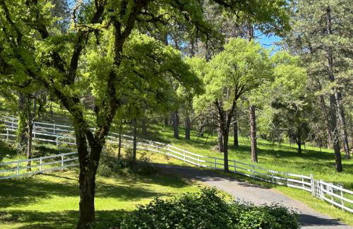 Gold Country Serenity! 45 Minutes to Powder! - Foto 5