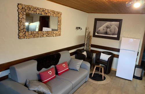 APPARTEMENT PLEIN SUD AUX SAISIES n3 - Foto 19