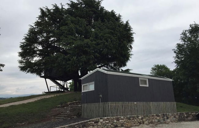 Villa San Biagio - Foto 26