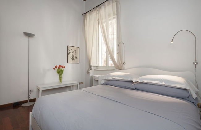 Volpe grande - Foto 2