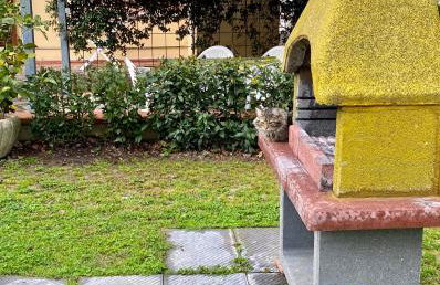 La Torribina 2 - Foto 27