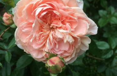 Altes Winzerhaus Lenz - Foto 19