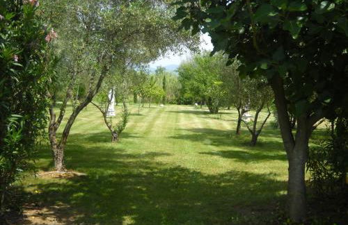 Marrucheto - Foto 18