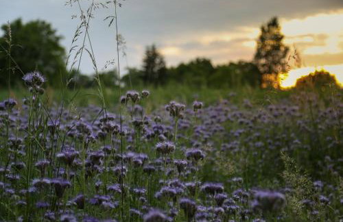 Gacka Valley - Foto 29