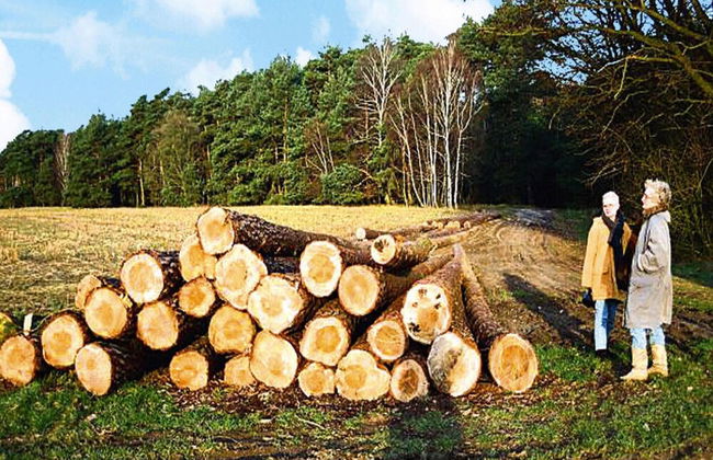 Ferienwohnung, Beetzseeheide - Foto 17