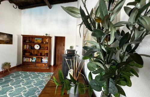 Casa d’ avó Lita - Foto 9