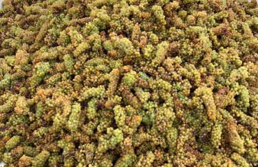 Casa villetta "La Colomba" Nizza Monferrato - Foto 41