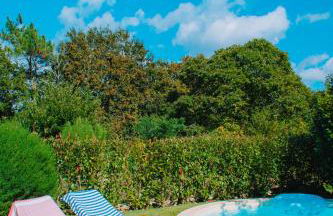 Just Like Home - Casa do Cadinho - Foto 35