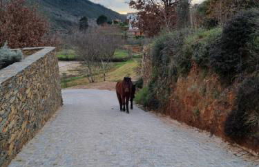 Quinta das Levadas - Country House & Nature - Foto 58