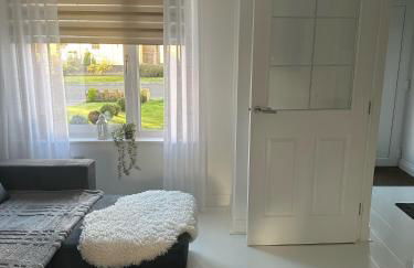 Black Daisy - Foto 17