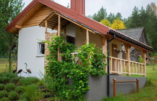 Skroblakówka - Foto 19