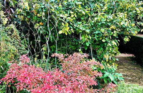 1 Bed in Eye- oc-34390 - Foto 10