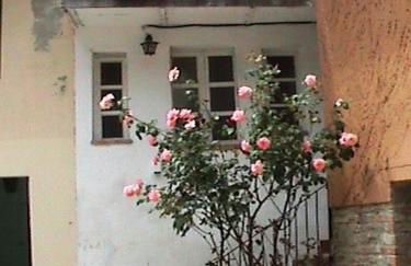 B&B I Colori dell'Arcobaleno - Foto 33