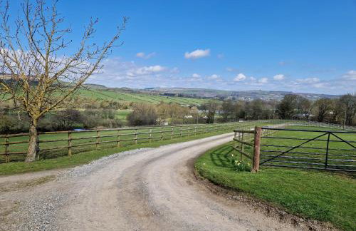 The Den, Coves House - Foto 35