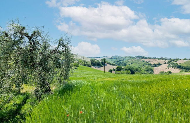 Holiday Home in Torchiaro With Garden - Foto 35