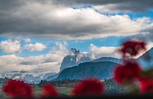 HAUSERHOF Farmhouse with Dolomite View - Foto 35