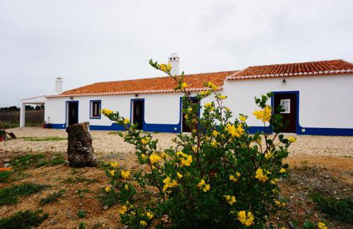 Monte do Pantaleão - Foto 6