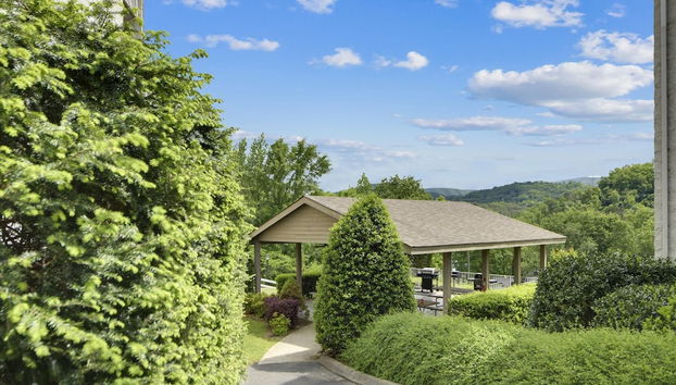 Servicios del alojamiento