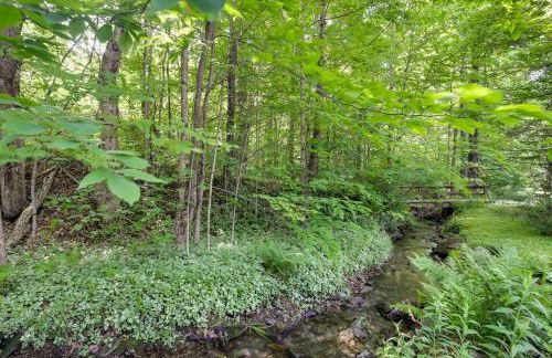 Waitsfield Condo with Pool and On-Site Trail Access! - Foto 21