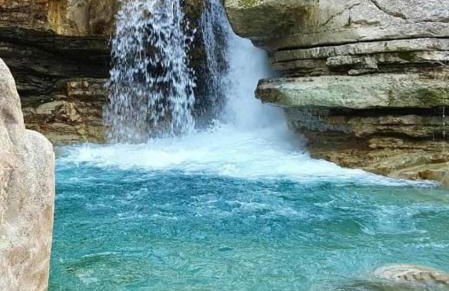 La Salamandre de l Olivier - le Mimosa - Foto 29