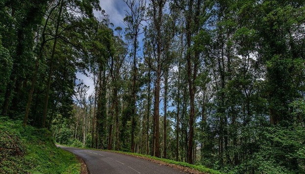 Sintra Romance and Mystery Private Tour - Photo 4