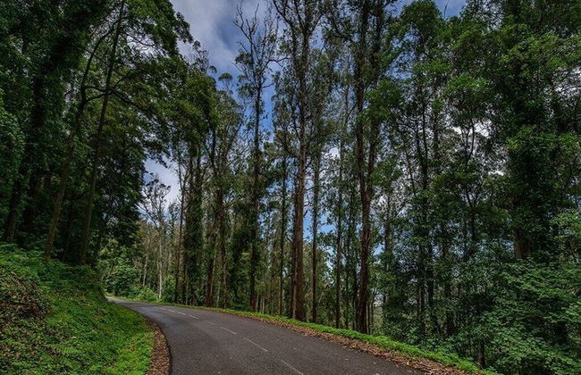Sintra Romance and Mystery Private Tour - Photo 4