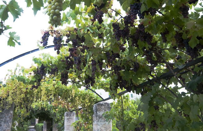 Casina Dei Preti - Foto 72