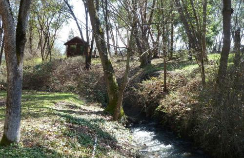 Creekside Cabin - Foto 5