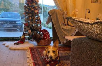 Stellas guesthouse near Arachova - Foto 49