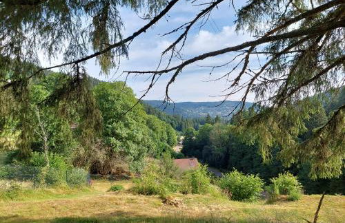 Le Refuge perché du saut de la bourrique, SPA, terrain clôturé, bordure de forêt - Foto 5