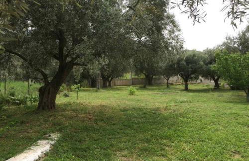 Panoramic View Summerhouse - Foto 18