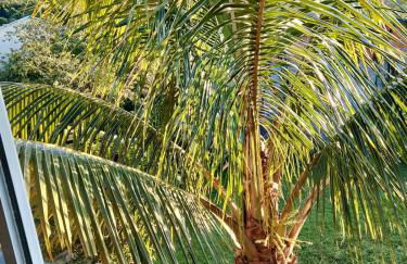 Casa de temporada em Lindoia - PISCINA, FOGÃO A LENHA, CHURRASQUEIRA - Conforto e privacidade - Foto 51
