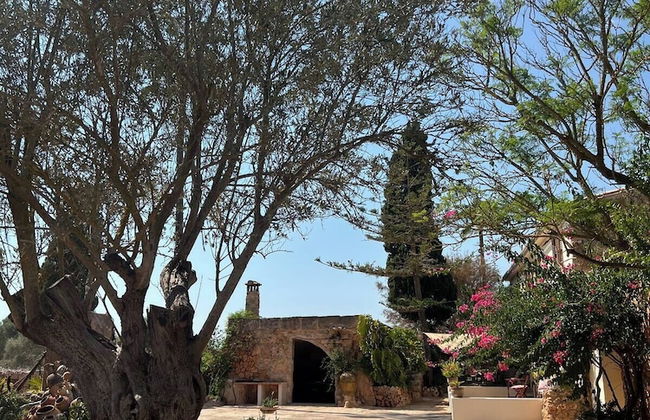 Finca Son Pieras - Foto 55