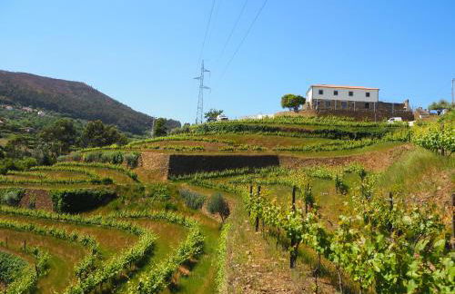 Quinta das Fontainhas - Photo 28